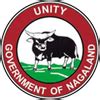 nagaland monthly chart|Department of Finance, Government of Nagaland.